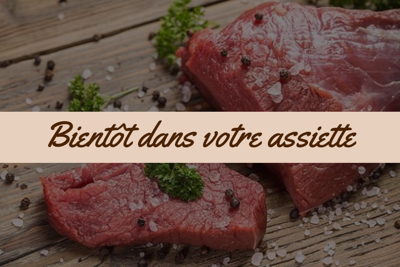 Bientôt dans votre assiette